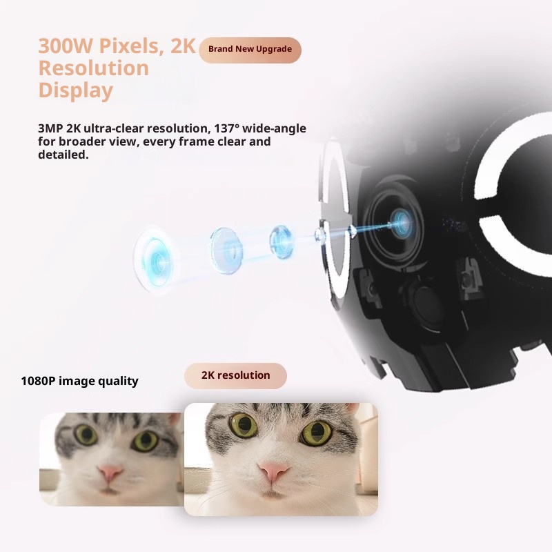 Enabot ROLA Mini Smart Robot I - đánh giá và giá Smart Home Miniature
